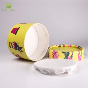 Colorful Custom Ice Cream Paper Tube Packages With Logo Printed - Food Paper Packaging Tube Box - 1