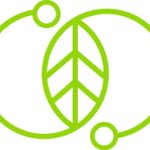 Paper Packaging Sustainable innovation